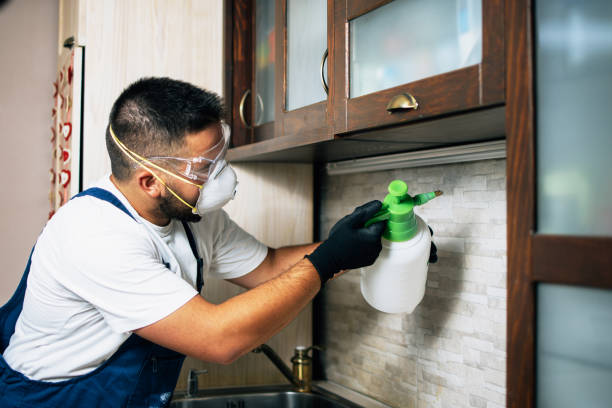Best Affordable Pest Control Services  in Stevenson Ranch, CA
